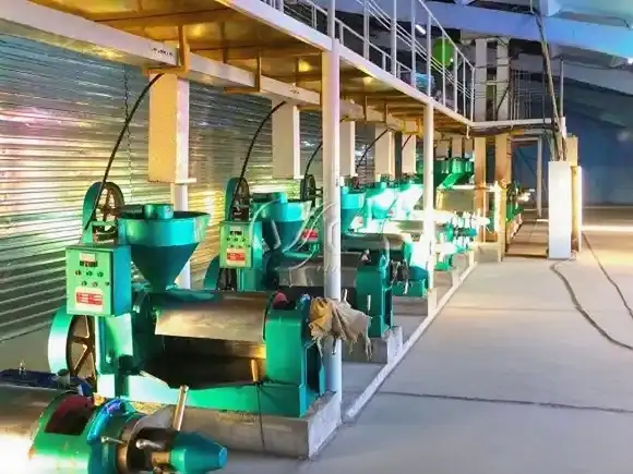 Turnkey cottonseed oil plant with processing equipment