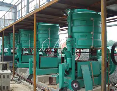 Turnkey sesame oil processing plant layout