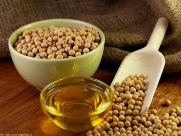 Vos oil production plant for soybean
