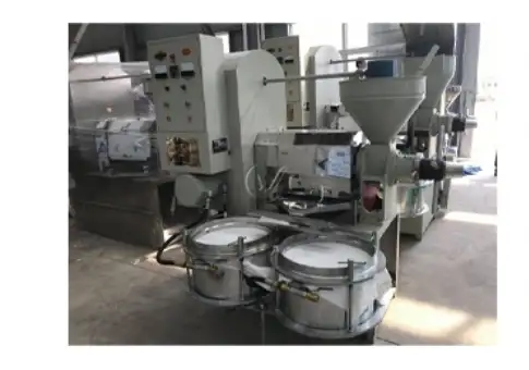 Temperature-controlled screw press for hot and cold oil extraction